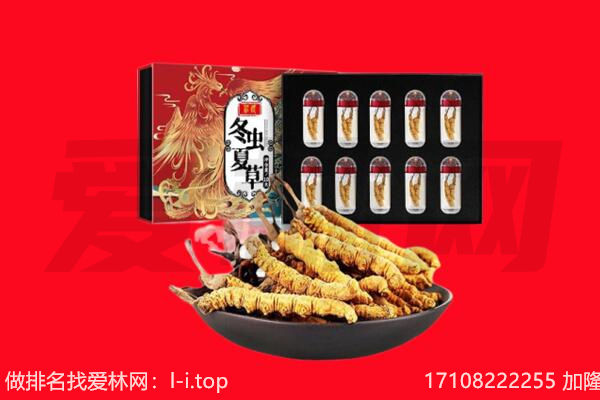 嘉兴市桐乡回收虫草.jpg